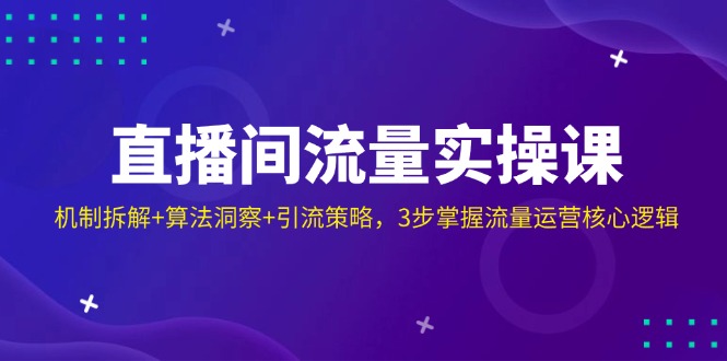 （14122期）直播间流量实操课：机制拆解+算法洞察+引流策略，3步掌握流量运营核心逻辑-创奇社