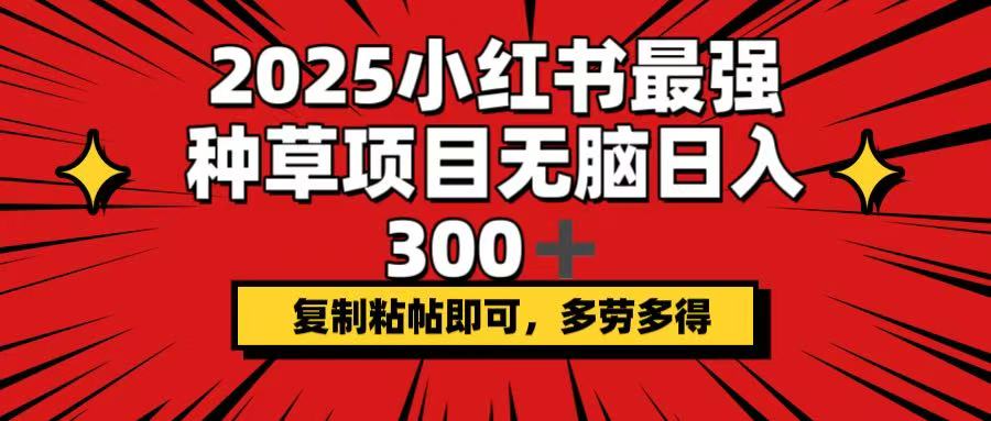 （14375期）2025小红书最强种草项目，无脑日入300+，复制粘帖即可，多劳多得-创奇社