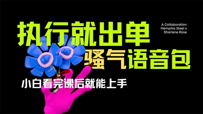 （14170期）爆火全网的开车导航骚气语音包,只要执行就出单，小白看完课程就能实操…-创奇社