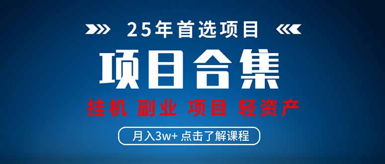 （14175期）2025 实操项目合集 挂机类型 直播类型 轻资产创业类型 课程分享各项目…-创奇社