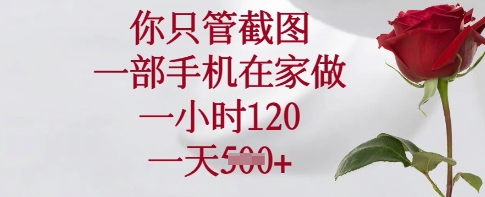 你只管截图，一部手机在家做，一小时120.一天5张-创奇社 - AI前沿·副业变现·资源教程！