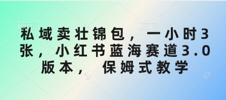 私域卖壮锦包，一小时3张，小红书蓝海赛道3.0版本， 保姆式教学-创奇社 - AI前沿·副业变现·资源教程！
