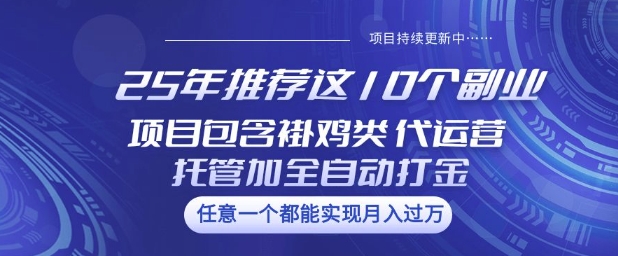 25年推荐这10个副业项目包含褂鸡类、代运营托管类、全自动打金类-创奇社 - AI前沿·副业变现·资源教程！