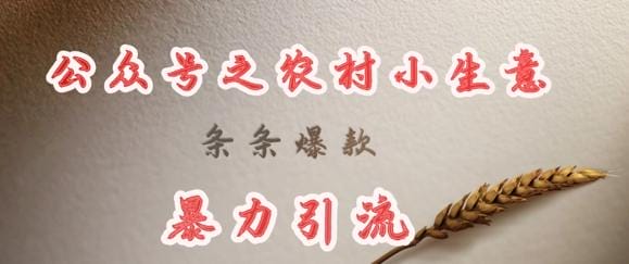 deepseek写农村小项目，条条爆款，暴力引流-创奇社