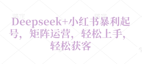 Deepseek+小红书暴利起号，矩阵运营，轻松上手，轻松获客-创奇社