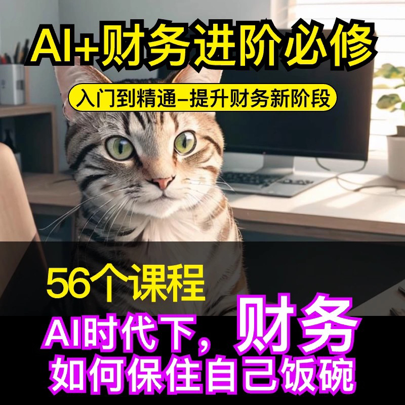 【2025】deepseek财务工具精讲课程Ai财务人员进阶必修课入门到精通-创奇社