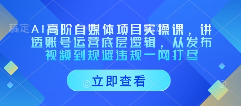 AI高阶自媒体项目实操课，讲透账号运营底层逻辑，从发布视频到规避违规一网打尽-1