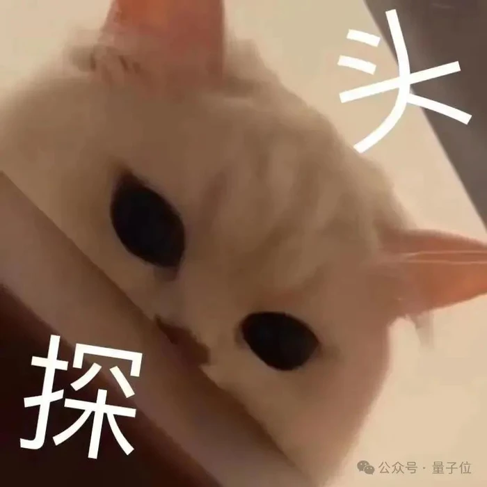 首个个性化对齐大模型问世!可精准识别用户内在动机和偏好,还有百万用户画像开源数据集 蚂蚁&人大-1 首个个性化对齐大模型问世!可精准识别用户内在动机和偏好,还有百万用户画像开源数据集 蚂蚁&人大-1