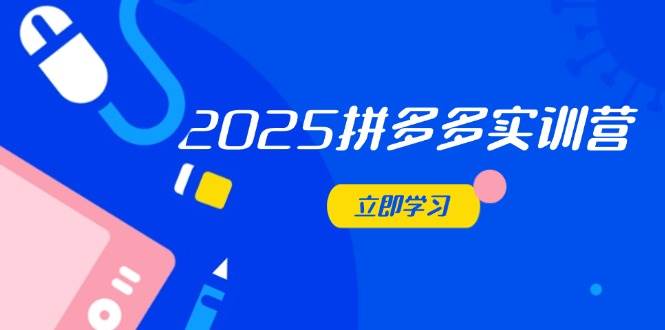 2025拼多多实训营：深度剖析运营关键，助力电商人快速提升-创奇社