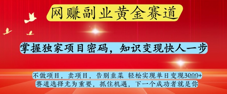 网创副业黄全赛道，掌握独家项目密码，知识变现快人一步，告别韭菜轻松实现单日变现1k+-创奇社