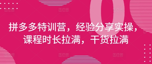 拼多多特训营，经验分享实操，课程时长拉满，干货拉满(更新25年4月)-创奇社