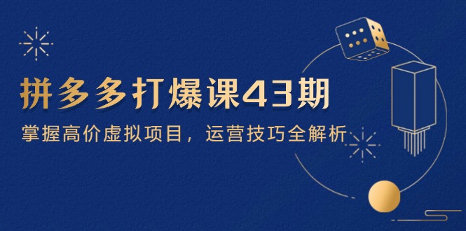 （14546期）拼多多打爆课第 43 期，掌握高价虚拟项目，运营技巧全解析（15节）-创奇社