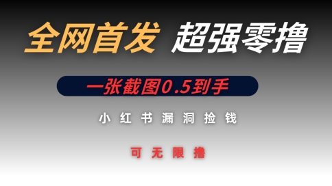 全网首发无限零撸捡钱项目，小红书一张截图0.5元可无限零撸-创奇社