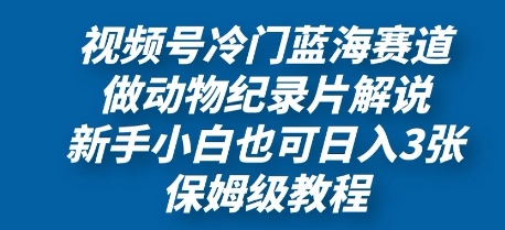 视频号冷门蓝海赛道，做动物纪录片解说，新手小白也日入3张，保姆级教程-创奇社
