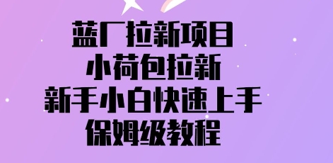蓝厂拉新项目，小荷包拉新，新手小白快速上手，保姆级教程-创奇社