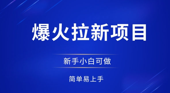 爆火拉新项目，有手就行，小白轻松入门，日入1张拉新整套流程-创奇社