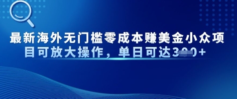 最新海外无门槛美金小众项目可放大操作，单日可达3张-创奇社