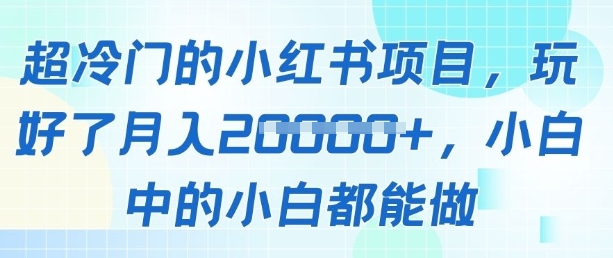 超冷门的小红书项目，玩好了月入过1w，小白中的小白都能做-创奇社