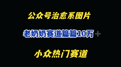 公众号老奶奶治愈系流量主，篇篇10W+-创奇社
