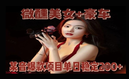 微醺美女+豪车，抖音爆款项目单日稳定2张+-创奇社