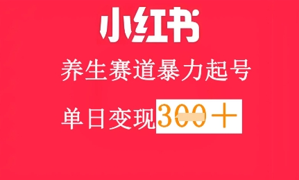 小红书养生赛道，暴力起号，轻松日入3张+-创奇社