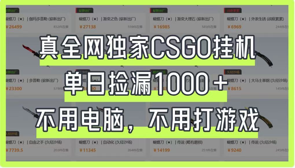 真全网独家CSGO挂机，单日捡漏1000+，不用电脑，不用养号-创奇社