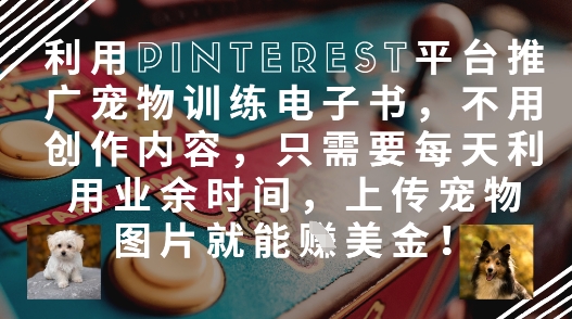 利用Pinterest平台推广宠物训练电子书，不用创作内容，只需要每天利用业余时间，上传宠物图片就能挣美金!-创奇社