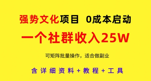强势文化项目，一个社群收入25个W，0成本启动，可矩阵批量操作，原创详细实操教程-创奇社