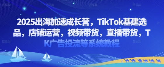 2025出海加速成长营，TikTok基建选品，店铺运营，视频带货，直播带货，TK广告投流等系统教程-创奇社
