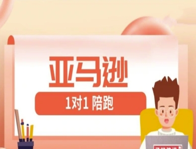 亚马逊1对1陪跑课(FBA/FBM精铺)跨境亚马逊教程-创奇社