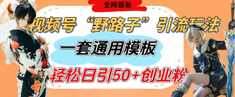 视频号“野路子”玩法，评论区疯狂截流，一套模板单日单号引流50+创业粉-创奇社