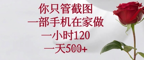 你只管截图，一部手机在家做，苹果安卓都可以，一小时120，一天5张+-创奇社