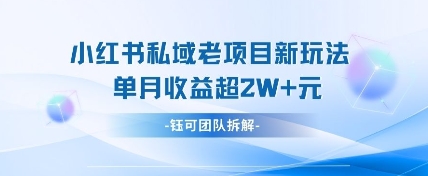 小红书私域项目新玩法，单月变现过W+-创奇社