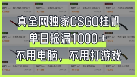 真全网独家CSGO挂G，单日捡漏1k+-创奇社