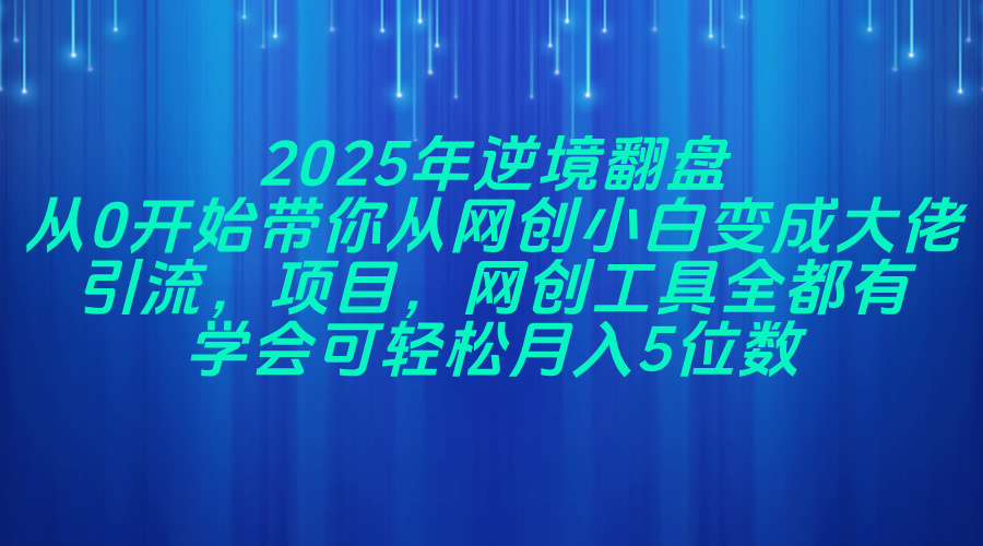 （14473期）2025年逆境翻盘，从0开始带你从网创小白变成大佬，引流，项目，网创工…-创奇社