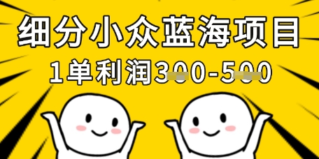 细分小众蓝海项目，一单利润3张，每月收入稳定过1w+-创奇社 - AI前沿·副业变现·资源教程！