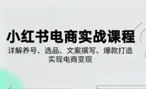 小红书从0-1实操课(2023-2025)，详解养号、选品、文案撰写、爆款打造实现电商变现-1