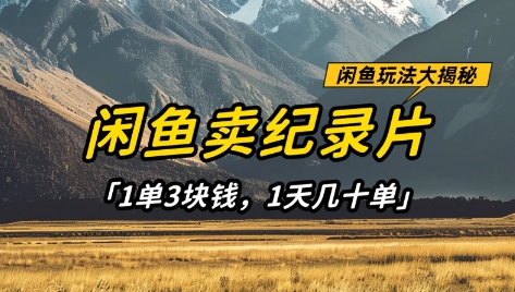 闲鱼卖纪录片1单3块钱，1天几十单，项目稳定有潜力-创奇社 - AI前沿·副业变现·资源教程！