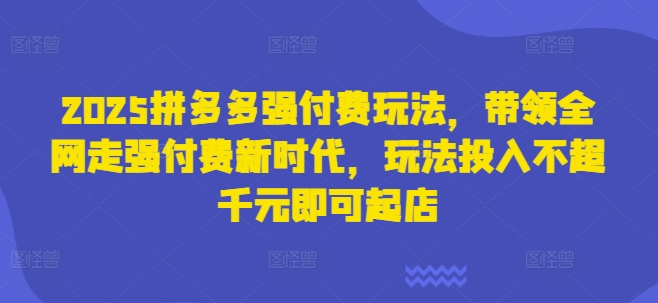 2025拼多多强付费玩法，带领全网走强付费新时代，玩法投入不超千元即可起店-创奇社 - AI前沿·副业变现·资源教程！