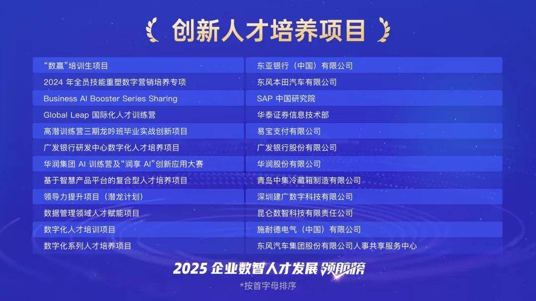 AI 不仅是技术革命，更是一场全员能力升级的持久战 极客时间 DTDS 大会-13