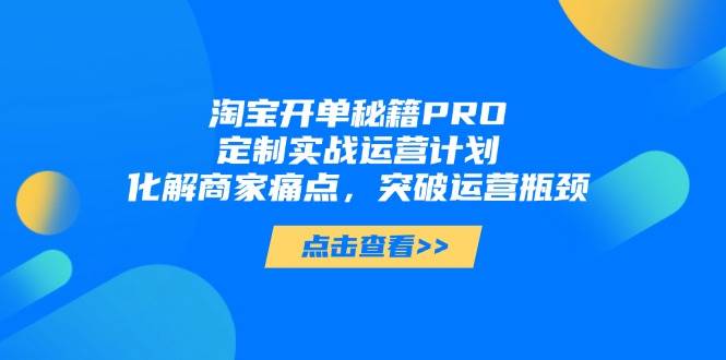 淘宝开单秘籍PRO，定制实战运营计划，化解商家痛点，突破运营瓶颈-创奇社