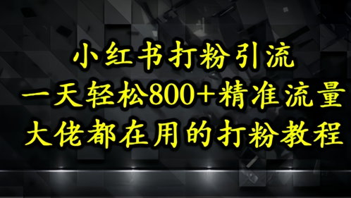 小红书打粉引流，一天轻松500+精准流量，大佬都在用的打粉教程-创奇社