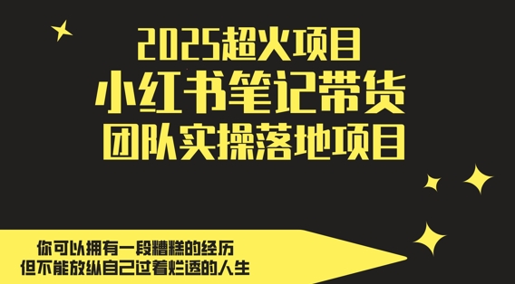 2025超火项目，副业最佳选择，小红书笔记带货团队实操落地项目，，轻松日入5张-创奇社