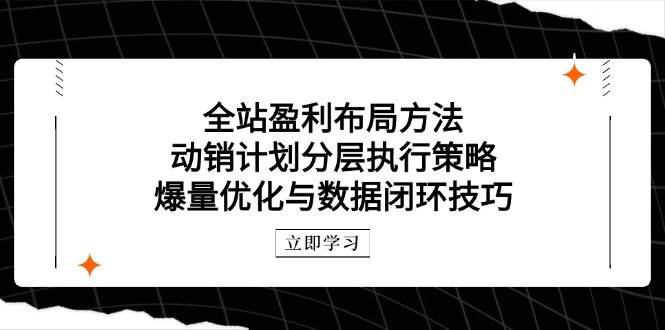 全站盈利布局方法：动销计划分层执行策略，爆量优化与数据闭环技巧-创奇社