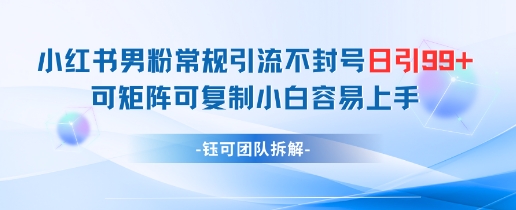 小红书男粉常规引流不封号日引99+变现简单 可矩阵可复制小白容易上手-创奇社
