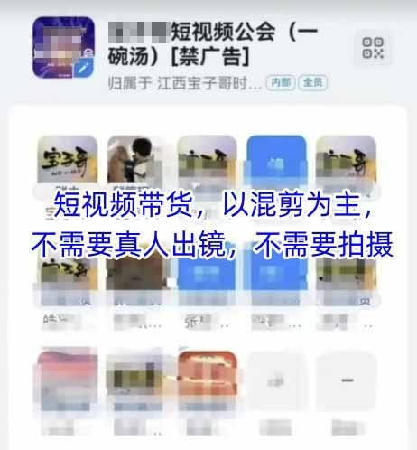 （14692期）2025短视频带货内训营，以混剪为主，不需要真人出镜，不需要拍摄-2