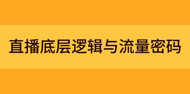 （14695期）直播底层逻辑与流量密码：定位模型+案例拆解，急速流承接与数据优化全攻略-创奇社