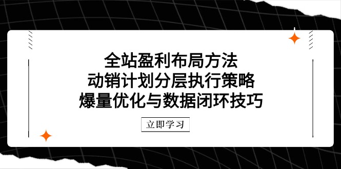 （14698期）全站盈利布局方法：动销计划分层执行策略，爆量优化与数据闭环技巧-创奇社
