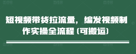短视频带货拉流量，编发视频制作实操全流程(可搬运)-创奇社