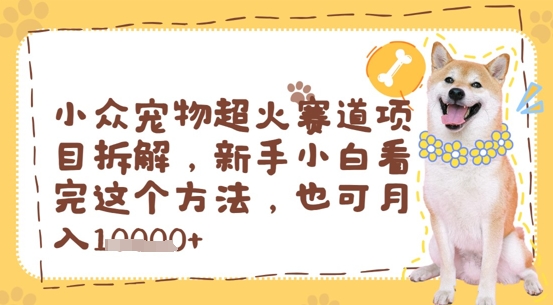 小众宠物超火赛道项目拆解，新手小白看完这个方法，也可月入过w-创奇社